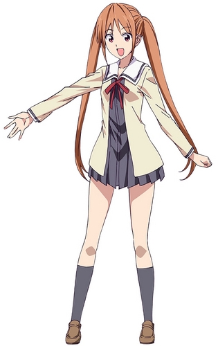 Hanabatake Yoshiko - karakter utama Aho Girl