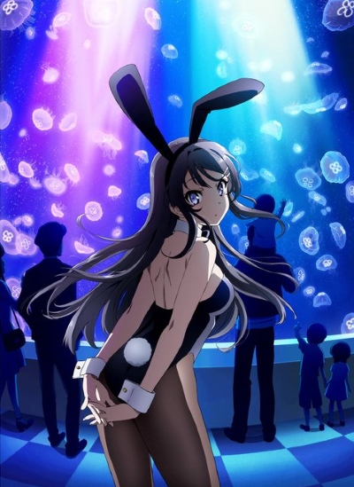 [SFEO-Raws] 青春猪头少年不会梦到兔女郎学姐 Seishun Buta Yarou wa Bunny Girl Senpai no Yume wo Minai (BD 720P x264 10bit AAC)插图icecomic动漫-云之彼端,约定的地方(´･ᴗ･`)